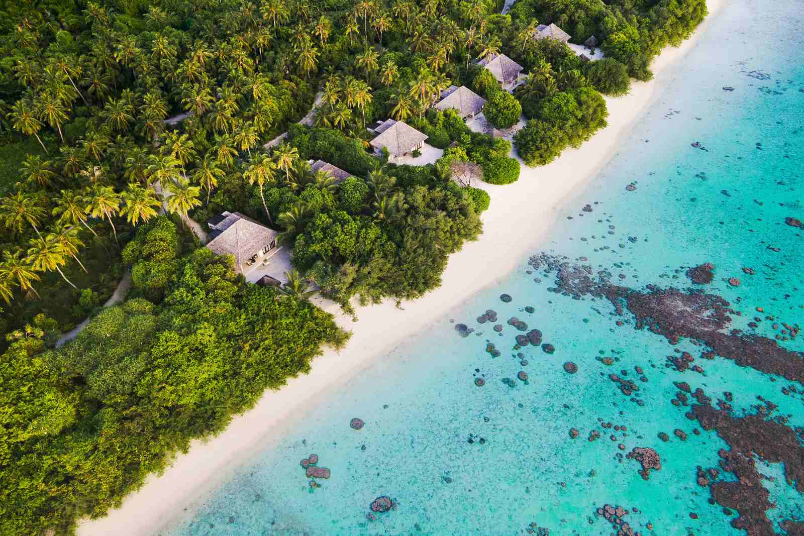 Get 20% Off – Book Now!